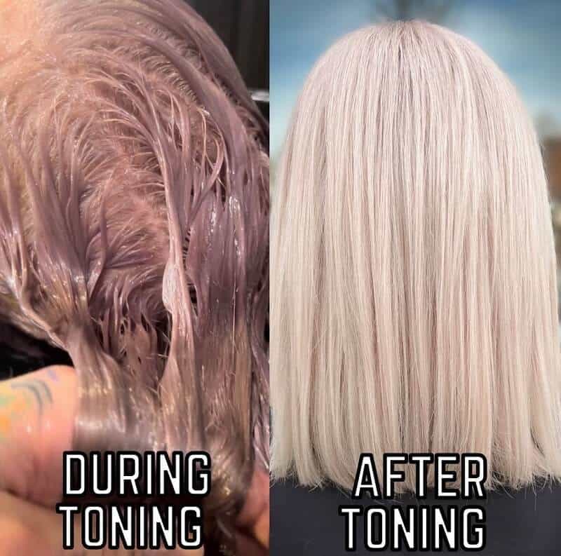 Does-Toner-Really-Damage-Your-Hair
