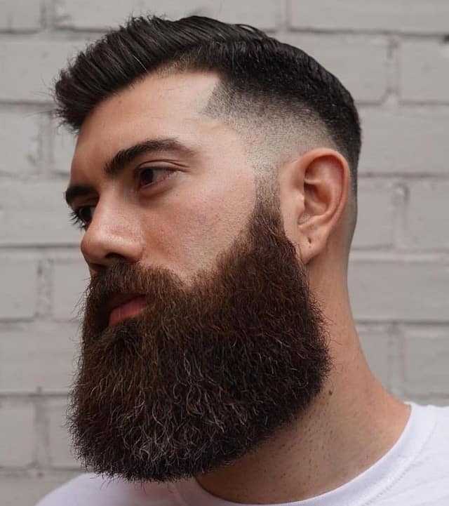 Long beard with fade haircut