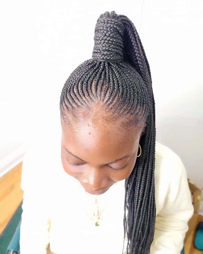 Small Cornrows In A Ponytail